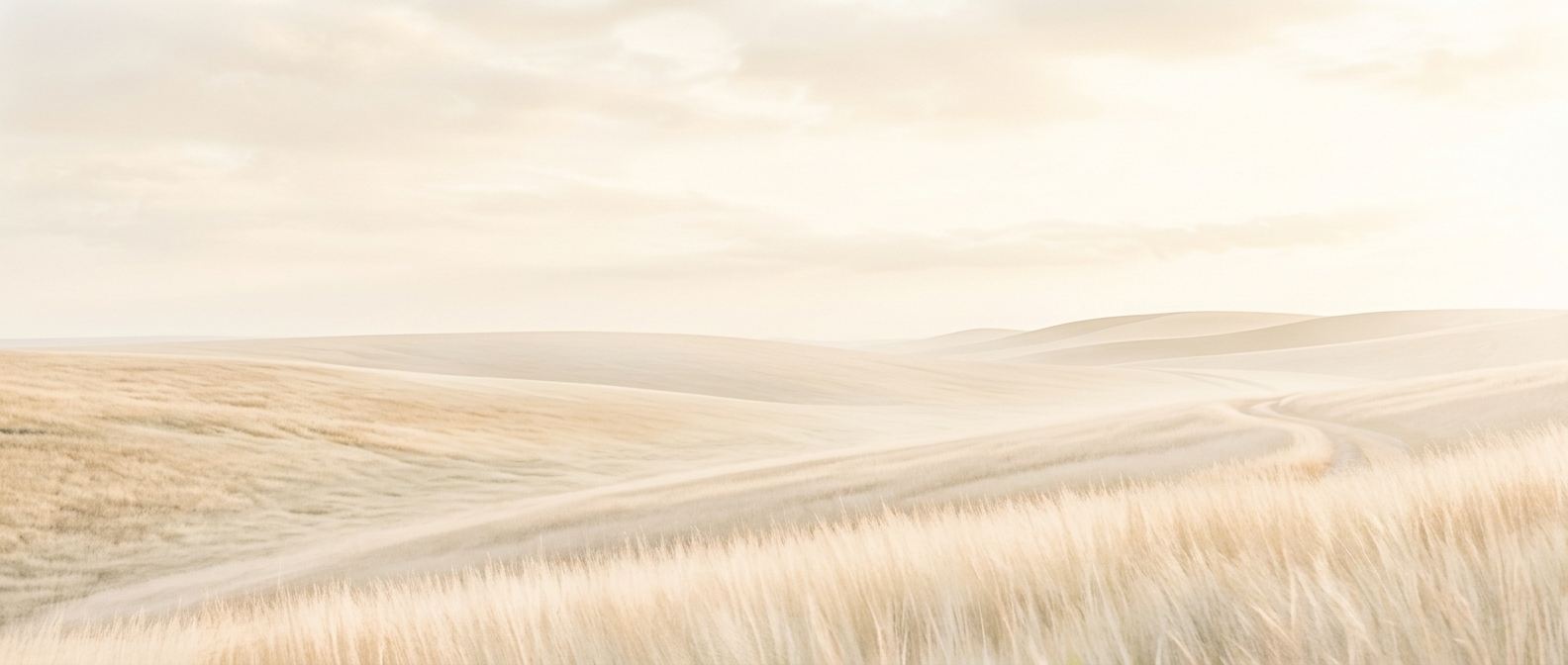 Soft rolling dunes and tall grasses under a calm, pale sky